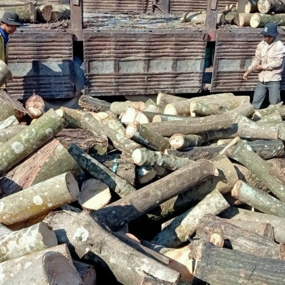 CỦI CAO SU